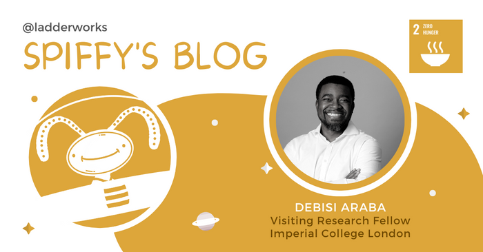 Debisi Araba: Making Food Available and Affordable For Everyone
