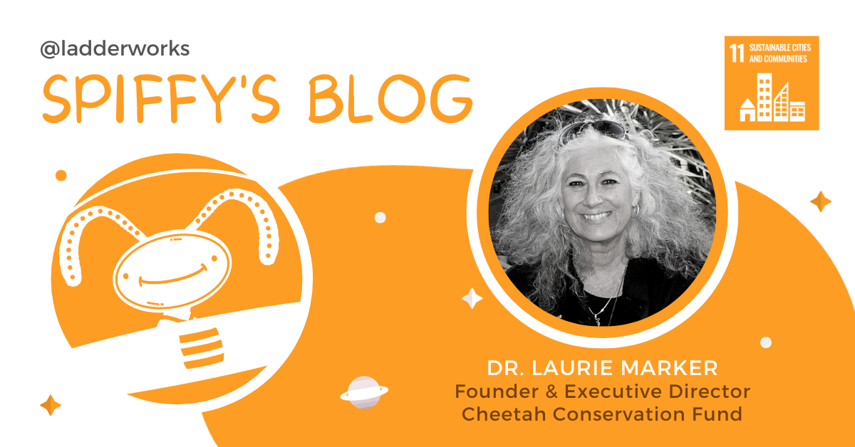 Dr. Laurie Marker Creating a World Where Cheetahs and Humans Can Coe