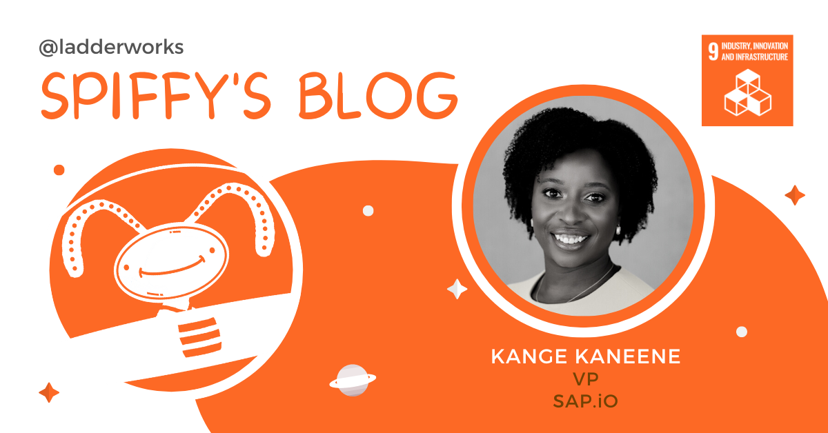 Kange Kaneene: Increasing the Venture Capital Share of Underrepresented Startups