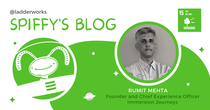 Rumit Mehta: Transformative Local Experiences for Global Guests